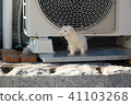 Outdoor unit and ferret 41103268