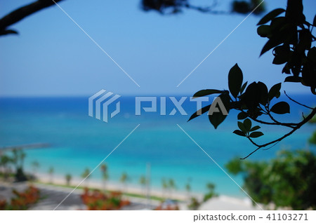 Sea of Ishigaki Sea of Ishigaki 41103271