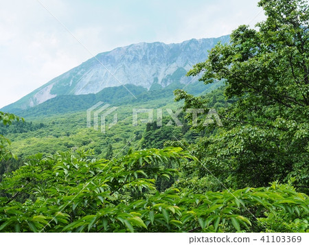 View of southern wall of Oyama seen from key ring Pass Oyama early summer oyama 41103369