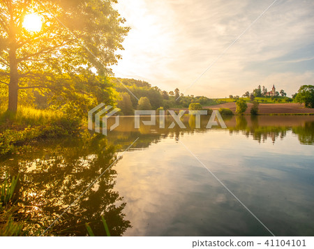 Solitary old large tree with lush green leafs on the brown spring field reflected in the water Solitary old large tree with lush green leafs on the brown spring field reflected in the water 41104101