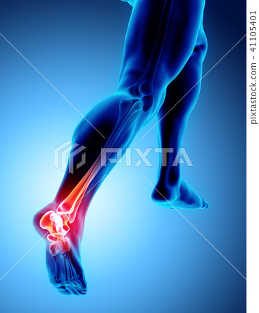 Ankle Painful Skeleton X Ray Stock Illustration 41105401