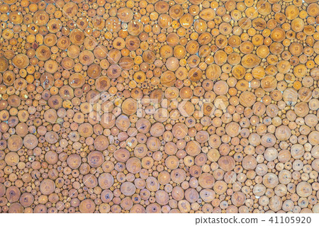Wood texture background have many logs of tree 41105920