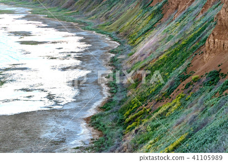 Beautiful summer landscape with river bank 41105989