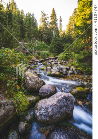 Creek in Forest 41107747
