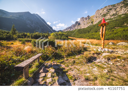 Mountain Landscape 41107751