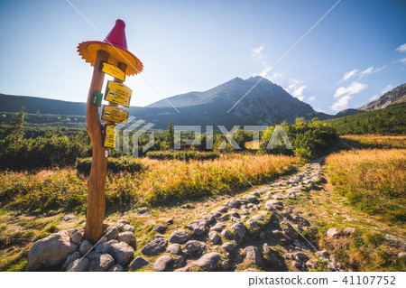 Hiking Trail under Mountain Peak Hiking Trail under Mountain Peak 41107752
