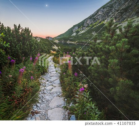 Hiking Trail under Moon Hiking Trail under Moon 41107835