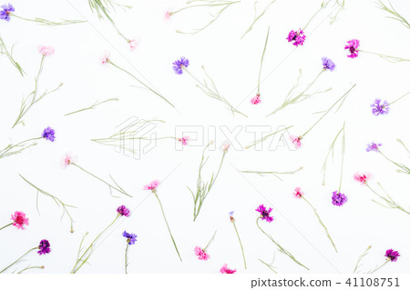 Floral pattern on white background, top view Floral pattern on white background, top view 41108751