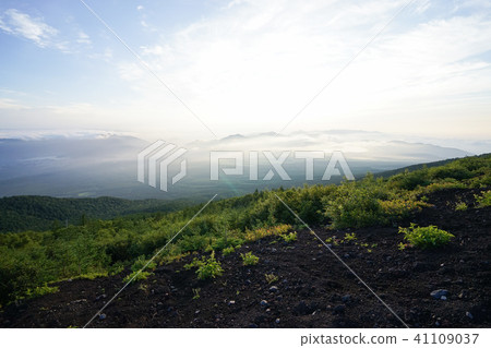 Climbing Climbing 41109037