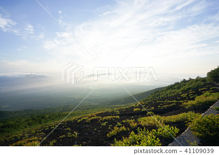 Climbing Climbing 41109039