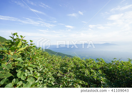 Climbing Climbing 41109043