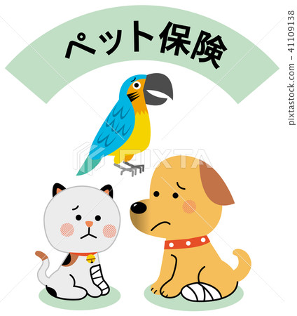 Property and Casualty Insurance Pet Insurance Property and Casualty Insurance Pet Insurance 41109138