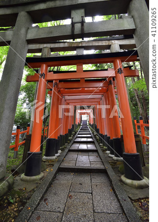 伏見Inari Taisha Inarizan Torii集團 41109265
