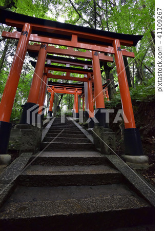 伏見Inari Taisha Inarizan Torii集團 41109267