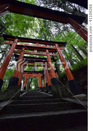 伏見Inari Taisha Inarizan Torii集團 41109268