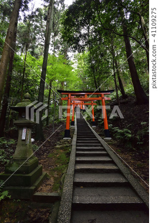 伏見Inari Taisha Inarizan Torii集團 41109275