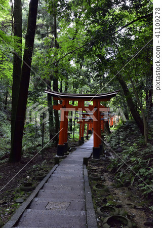 Fushimi Inari Taisha Inarizan Torii group 41109278