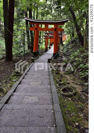 伏見Inari Taisha Inarizan Torii集團 41109279