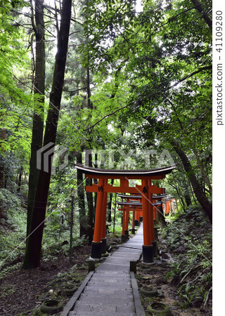 伏見Inari Taisha Inarizan Torii集團 41109280