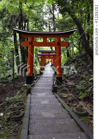 伏見Inari Taisha Inarizan Torii集團 伏見Inari Taisha Inarizan Torii集團 41109281
