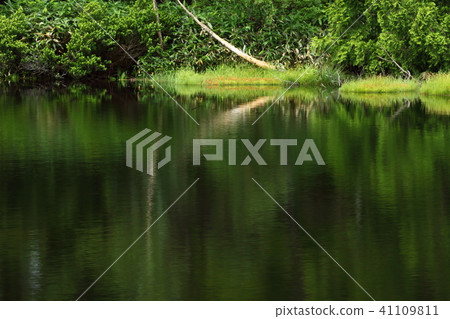 Plateau 41109811