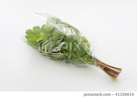 長壽草(鈕扣弓)袋 長壽草(鈕扣弓)袋 41109819
