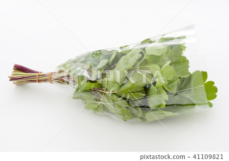 長壽草（鈕扣弓）袋 41109821