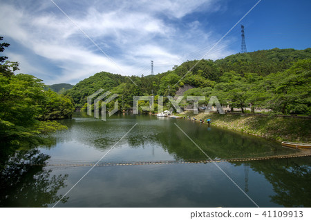 Kamakura Fresh Green Moriyama Town 41109913