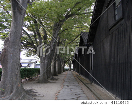 Yamae倉庫綠樹成蔭的大道 41110455