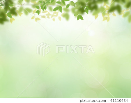 Background - Fresh green Background - Fresh green 41110484
