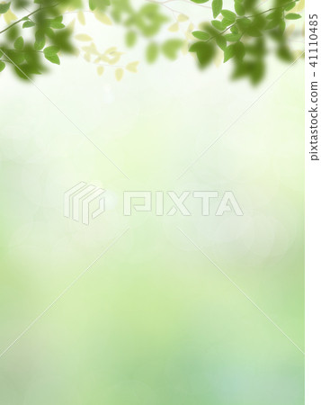 Background - Fresh green Background - Fresh green 41110485