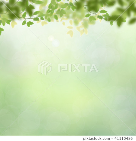 Background - Fresh green Background - Fresh green 41110486