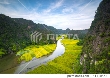 Rice fields in Tam Coc, Ninh Binh Rice fields in Tam Coc, Ninh Binh 41110545