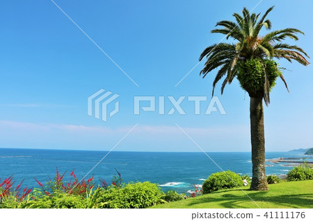 宮崎縣藍天，海和棕櫚樹 41111176