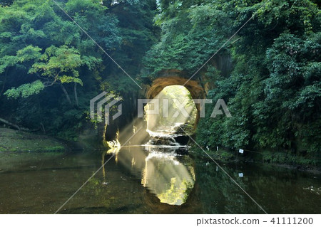 Waterfall of Dense groove of Chiba prefecture and light heart 41111200
