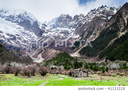 Grassland and Meili snow mountain landscape 41111228