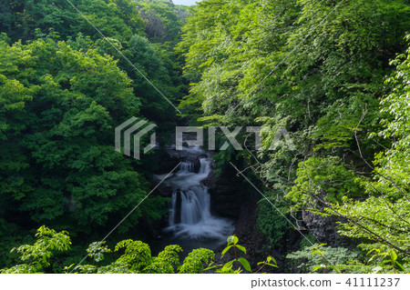 Miyagi ken Feng Shui 48 th Falls houmeosizyuuhachitaki-waterfall 41111237