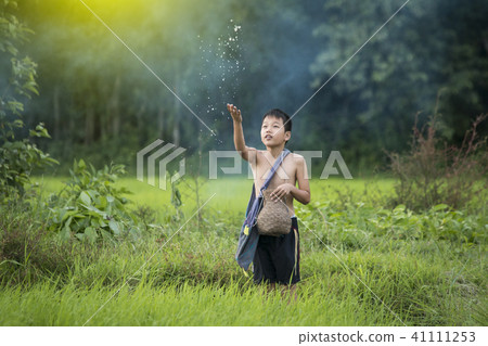 Asian boy playing in rice field 41111253