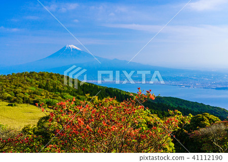[Shizuoka Prefecture] Mt. Fuji overlooking the sea 41112190