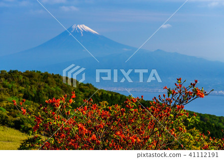 [Shizuoka Prefecture] Mt. Fuji overlooking the sea 41112191