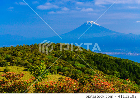 [Shizuoka Prefecture] Mt. Fuji overlooking the sea 41112192