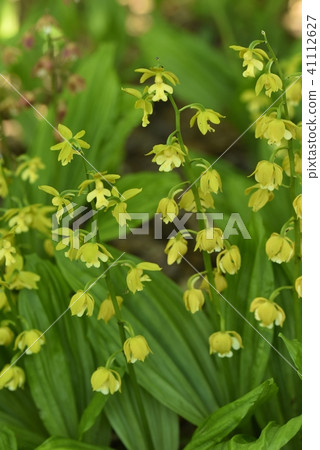 Ebene Ebene 41112627