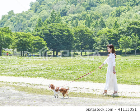 공원에서 강아지와 산책하는 젊은 여성모델 - 스톡사진 [41113051] - Pixta