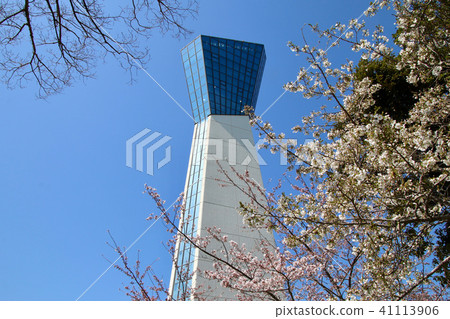 Iwaki Marine Tower（福島縣磐城市） 41113906