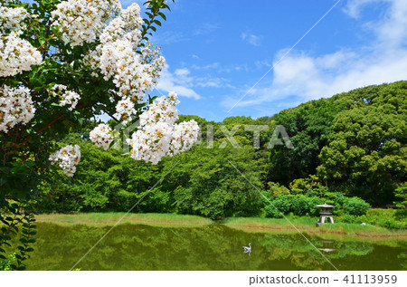 Osaka summer's Tsurumi green area 41113959