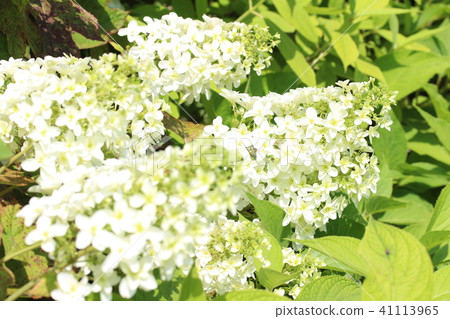 生日快樂派對 生日快樂派對 41113965