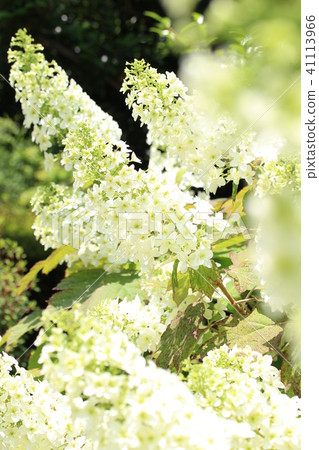 生日快樂派對 生日快樂派對 41113966