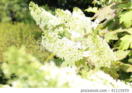 Happy birthday party Happy birthday party 41113970