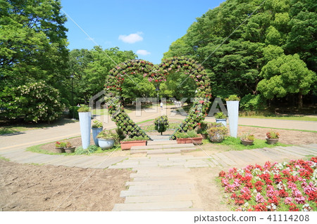 初夏植物園 41114208