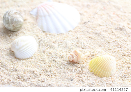 仲夏沙灘 41114227